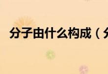 分子由什么構成（分子由什么構成和組成）