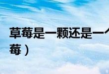 草莓是一顆還是一個呀（一個草莓還是一顆草莓）