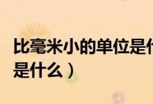 比毫米小的單位是什么樣的(比毫米小的單位是什么)