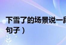 下雪了的場(chǎng)景說(shuō)一段話（描寫(xiě)一段下雪的情景句子）