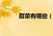 甜菜有哪些（關于甜菜的簡介）