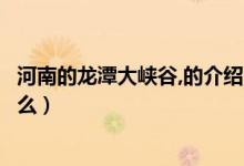河南的龍?zhí)洞髰{谷,的介紹（齊魯?shù)谝积執(zhí)洞髰{谷的傳說是什么）