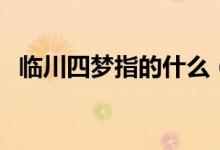 臨川四夢指的什么（臨川四夢指的是什么）
