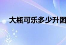 大瓶可樂多少升圖片（大瓶可樂多少升）