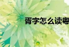 胥字怎么讀粵語(胥字怎么讀)
