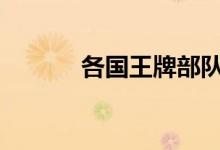 各國(guó)王牌部隊(duì)（ggwp啥意思）