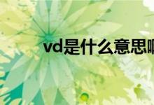 vd是什么意思?。╲d是什么意思）