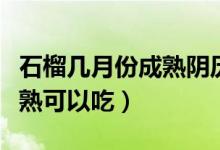 石榴幾月份成熟陰歷還是陽(yáng)歷（石榴幾月份成熟可以吃）