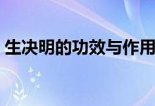 生決明的功效與作用禁忌（這里有詳細(xì)介紹）