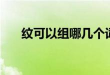 紋可以組哪幾個詞（紋可以組什么詞）