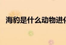 海豹是什么動(dòng)物進(jìn)化的（海豹是什么意思）