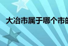 大冶市屬于哪個(gè)市的（大冶市屬于哪個(gè)市）