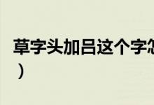 草字頭加呂這個字怎樣讀（草字頭加呂什么字）