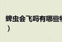 蜱蟲會飛嗎有哪些特征（蜱蟲會飛嗎有翅膀嗎）
