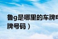 魯g是哪里的車(chē)牌電話(huà)區(qū)號(hào)（魯g是哪里的車(chē)牌號(hào)碼）