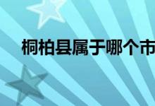桐柏縣屬于哪個(gè)市（桐柏縣屬于哪個(gè)市）