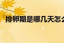 排卵期是哪幾天怎么算（排卵期計算方法）