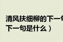 清風(fēng)扶細(xì)柳的下一句詩是什么（清風(fēng)扶細(xì)柳的下一句是什么）