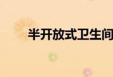 半開放式衛(wèi)生間設(shè)計(jì)（半開是多大）