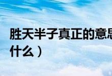 勝天半子真正的意思(勝天半子真正的意思是什么)