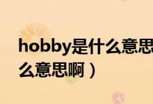 hobby是什么意思翻譯成英語（hobby是什么意思?。?class=