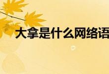 大拿是什么網(wǎng)絡語言（大拿是什么意思）