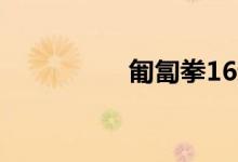 匍匐拳16動是什么意思