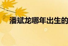 潘斌龍哪年出生的（潘斌龍哪年出生的）