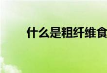 什么是粗纖維食品（什么是粗點心）