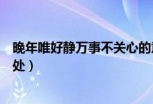 晚年唯好靜萬事不關心的意思（晚年唯好靜萬事不關心的出處）