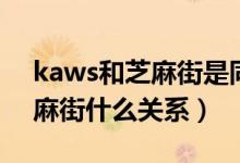 kaws和芝麻街是同一個東西嗎（kaws和芝麻街什么關系）