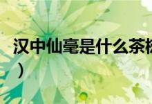 漢中仙毫是什么茶樹種類（漢中仙毫是什么茶）