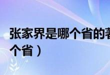 張家界是哪個(gè)省的著名旅游景點(diǎn)（張家界是哪個(gè)?。?class=