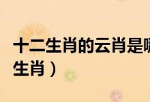 十二生肖的云肖是哪幾肖（云肖風(fēng)肖是哪幾個(gè)生肖）