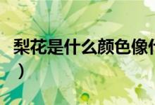 梨花是什么顏色像什么東西（梨花是什么顏色）