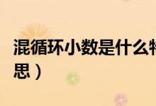 混循環(huán)小數(shù)是什么特點(diǎn)（混循環(huán)小數(shù)是什么意思）