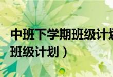 中班下學(xué)期班級(jí)計(jì)劃內(nèi)容（怎么寫中班下學(xué)期班級(jí)計(jì)劃）