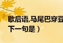 歇后語(yǔ),馬尾巴穿豆腐（歇后語(yǔ)馬尾巴穿豆腐下一句是）