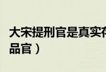 大宋提刑官是真實存在的嗎（大宋提刑官是幾品官）