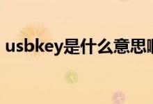usbkey是什么意思?。╱sbkey是什么意思）