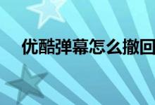 優(yōu)酷彈幕怎么撤回（優(yōu)酷彈幕怎么沒(méi)了）