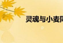 靈魂與小麥同眠意味著什么？