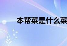 本幫菜是什么菜（本幫菜是什么菜）