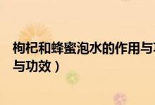 枸杞和蜂蜜泡水的作用與功效（枸杞和蜂蜜泡水有什么作用與功效）