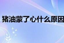 豬油蒙了心什么原因(豬油蒙了心什么意思)