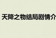 天降之物結局劇情介紹（天降之物結局是啥）