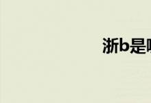 浙b是哪里的車(chē)牌