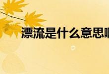 漂流是什么意思?。ㄆ魇鞘裁匆馑迹?class=
