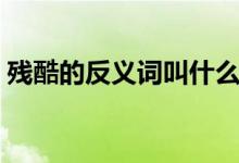 殘酷的反義詞叫什么（殘酷的反義詞是什么）