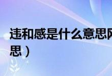 違和感是什么意思網(wǎng)絡(luò)用語(yǔ)（違和感是什么意思）